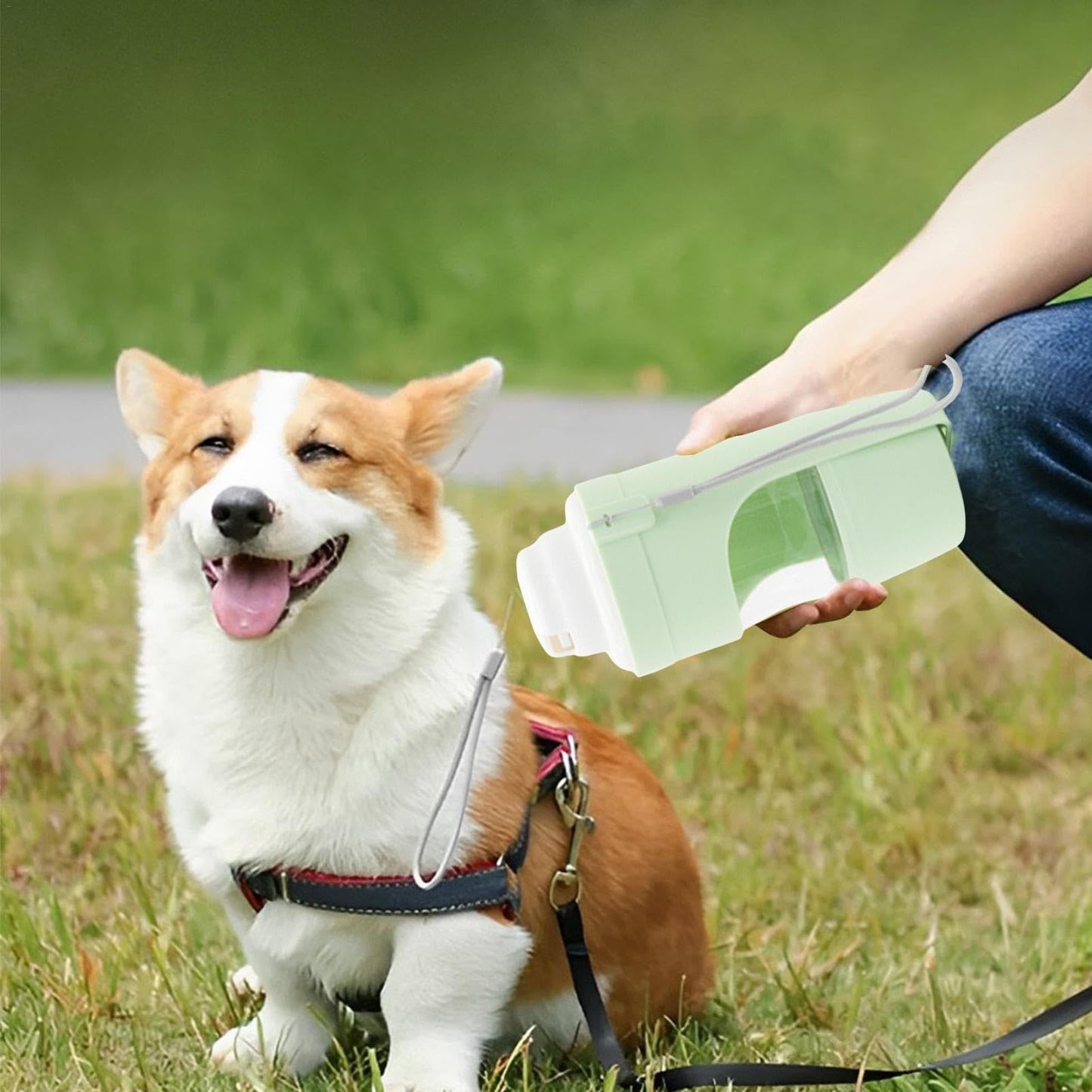 2 In 1 Pet Travel Water & Feeder Dispenser
