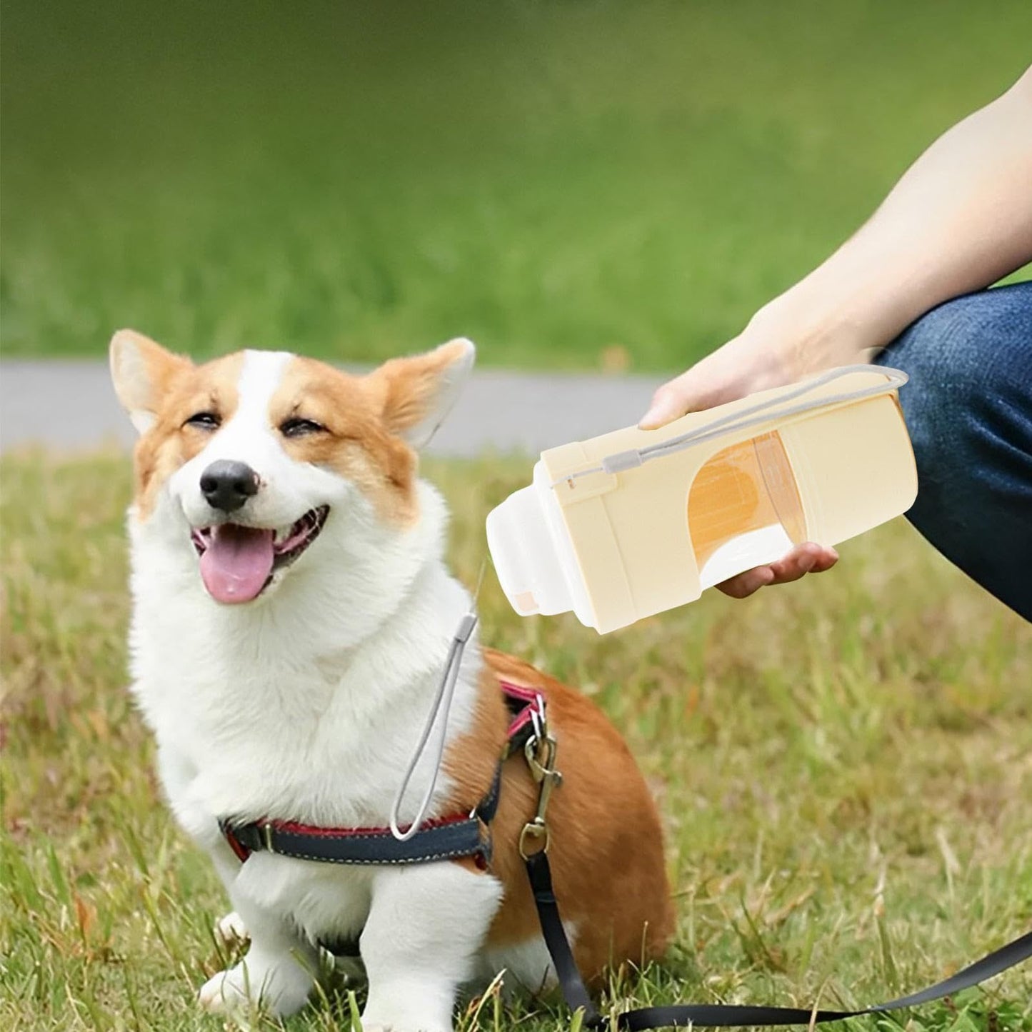 2 In 1 Pet Travel Water & Feeder Dispenser