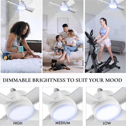 Screw In Fan Light With Remote
